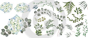 Mix of herbs and plants vector big collection. Green plants and leaves. All elements are isolated. A branch of White