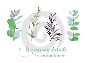 Mix of herbs and plants vector collection