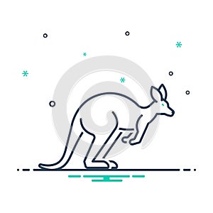 Mix icon for Kangaroo, herbivorous and wildlife