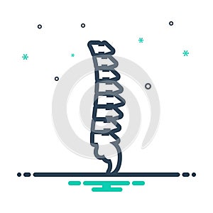 mix icon for Vertebra, anatomy and backbone