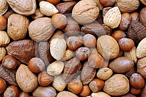 Mix of nuts in shell