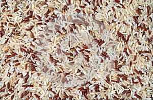 A mix of a plurality of different types of rice. photo