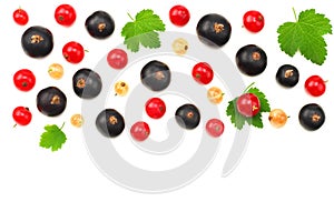 mix of red currant and black currant with green leaf isolated on a white background. healthy food. top view