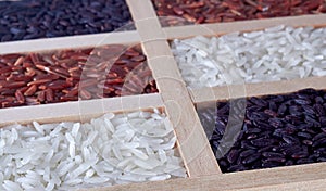 Mix rices in wood background