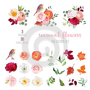 Mix of seasonal plants anf flowers big vector collection