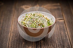 Mix of sprouted seeds