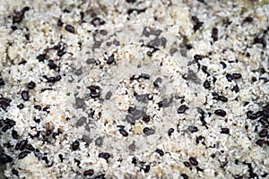 Mix of sticky glutinous rice with black bean