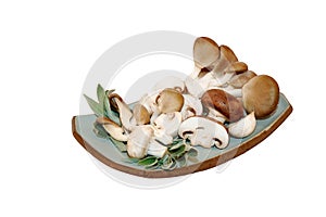 Mix of three mushrooms on a plate