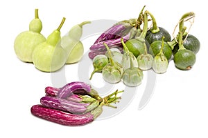 Mix vegetable: Bottle Gourd,Cockroach Berry, Eggplant and Young