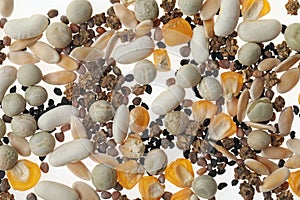 Mix of vegetable seeds on white background