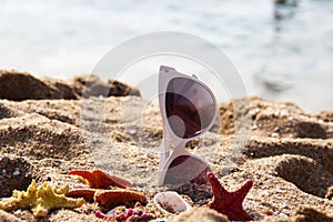 Mix of vivid starfishes on the beach and female sunglasses