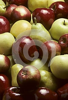 Mixed Apples and Bartlet Pears