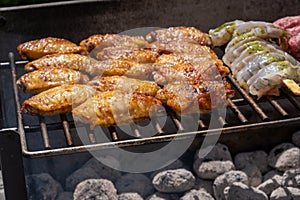 Mixed assortment of marinated meat, chicken, and prawns grilling on hot coals on a BBQ