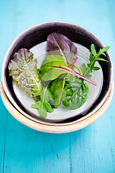 Mixed baby leaf salad in bowl