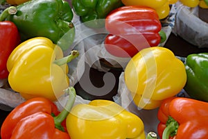 Mixed bell peppers