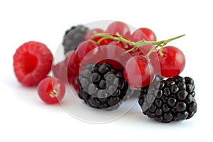 Mixed berries