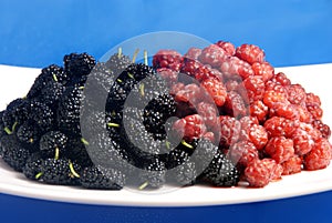 Mixed berries