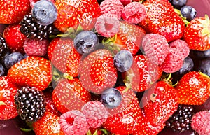 Mixed berries fruits