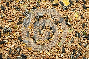 Mixed Bird Seed