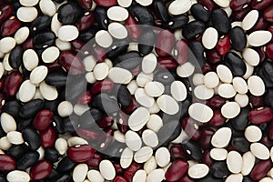 Mixed black, red, white kidney beans closeup top view background.