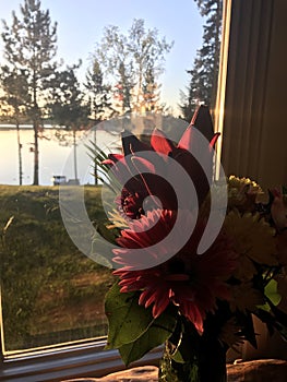 Mixed bouquet of flowers in a window