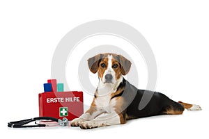 Mixed breed dog with first aid kit on white background