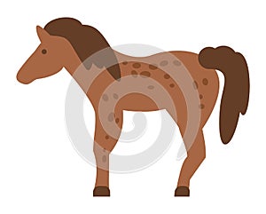 Mixed breed horse standing, vector illustration isolated on white background flat style