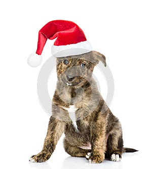 Mixed breed puppy in red christmas hat looking at camera. isolated on white