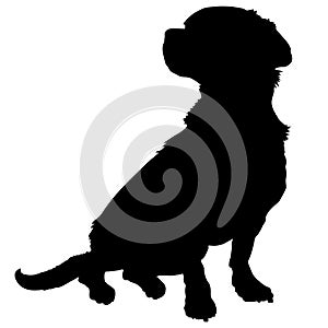 Mixed Breed Silhouette