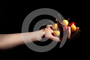 mixed cherries in hand on black