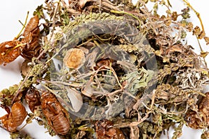 Mixed Chinese herb medicine on white background