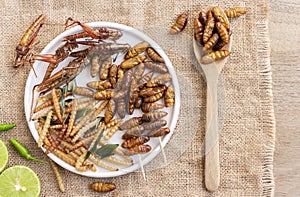 Mixed of crispy worm and insects in a ceramic plate with chopsticks on a wood table. The concept of protein food sources from