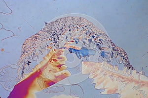 Mixed Crystals  under Pola-Microscope