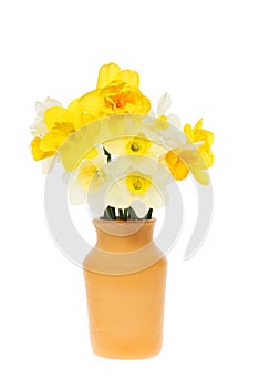 Mixed daffodils in vase