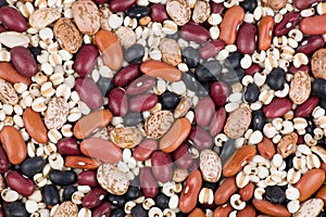 Mixed dried beans