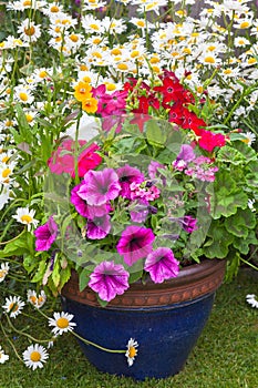 Mixed flowers set in a blue planter.