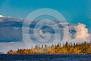 Mixed forest with colorful foliage on the Imandra lake. Autumn landscape, Kola Peninsula, Russia
