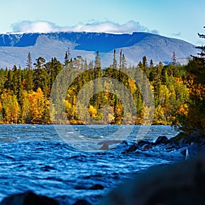 Mixed forest with colorful foliage on Imandra Lake near the Khibiny mountains. Autumn landscape, Kola Peninsula, Russia