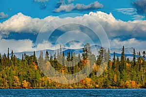 Mixed forest with colorful foliage on Imandra Lake near the Khibiny mountains. Autumn landscape, Kola Peninsula, Russia