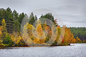 Mixed forest with colorful foliage by the lake. Autumn landscape, Republic of Karelia, Russia