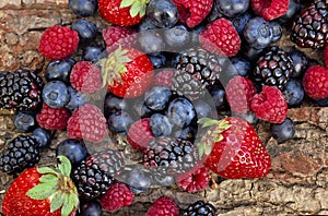 Mixed forest fruits