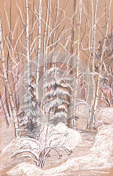 mixed forest in snowy winter