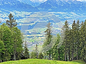 Mixed forests and thinned out trees on the slopes of the Pilatus massif and in the alpine valleys below the mountain peaks