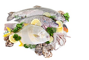 Mixed Fresh Fish