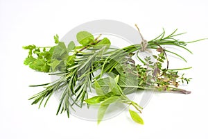 Mixed fresh herbs