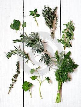 Mixed fresh herbs