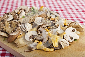 Mixed fresh mushrooms