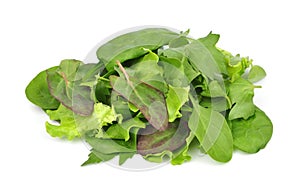 Mixed fresh salad leaves