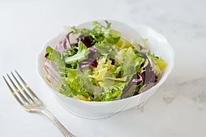 Mixed fresh vegetable salad (green iceberg lettuce, radicchio and frisee) in white bowl