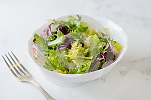 Smíšený čerstvý zeleninový salát (zelený ledovec salát a) v bílý mísa 